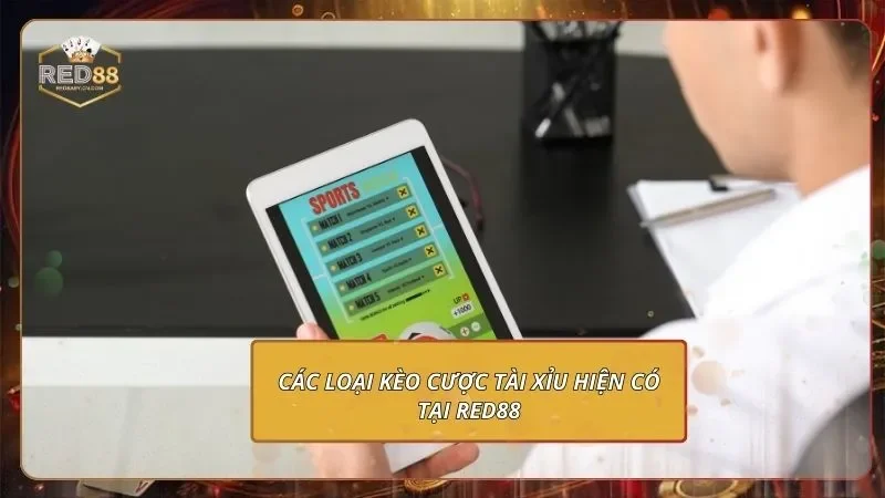 Các loại kèo cược tài xỉu hiện có tại RED88