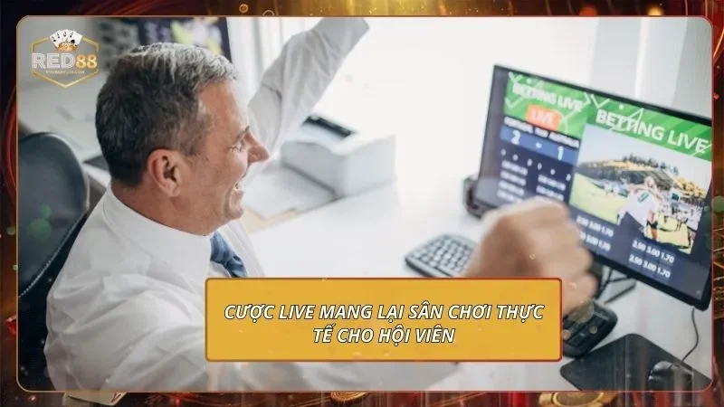 Cược live mang lại sân chơi thực tế cho hội viên