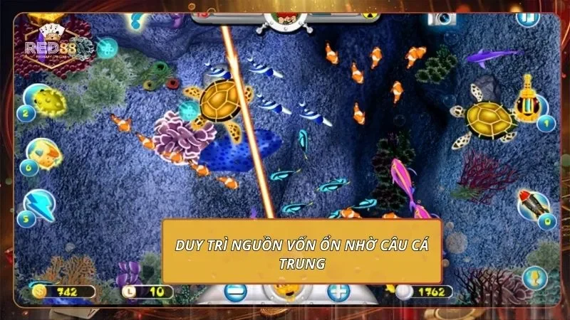 Duy trì nguồn vốn ổn nhờ câu cá trung