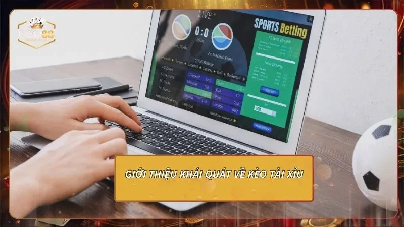 Giới thiệu khái quát về kèo tài xỉu