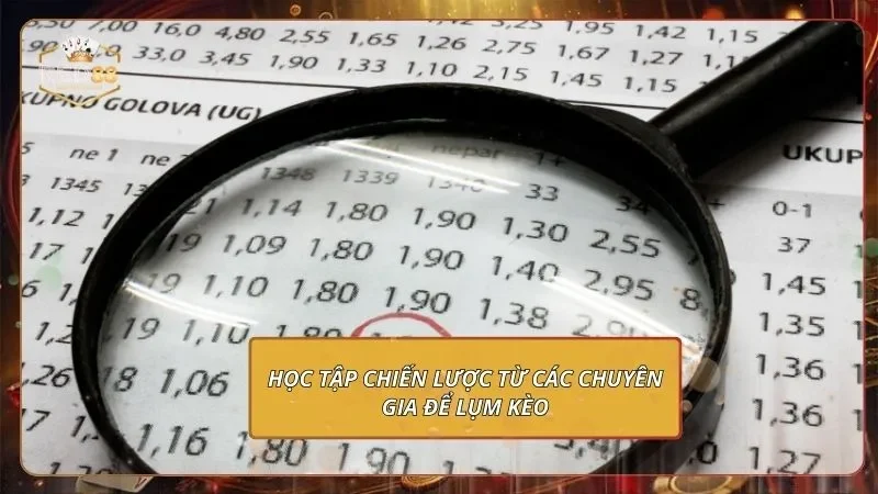 Học tập chiến lược từ các chuyên gia để lụm kèo