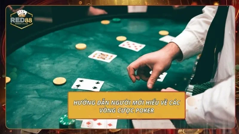 Hướng dẫn người mới hiểu về các vòng cược poker