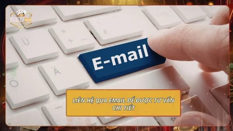 Liên hệ qua Email để được tư vấn chi tiết