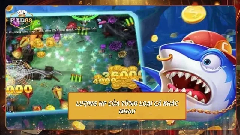 Lượng HP của từng loại cá khác nhau