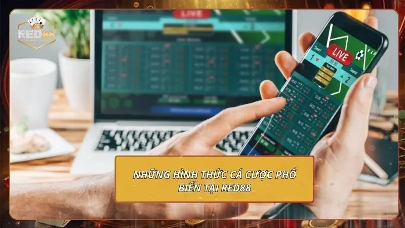 Những hình thức cá cược phổ biến tại RED88