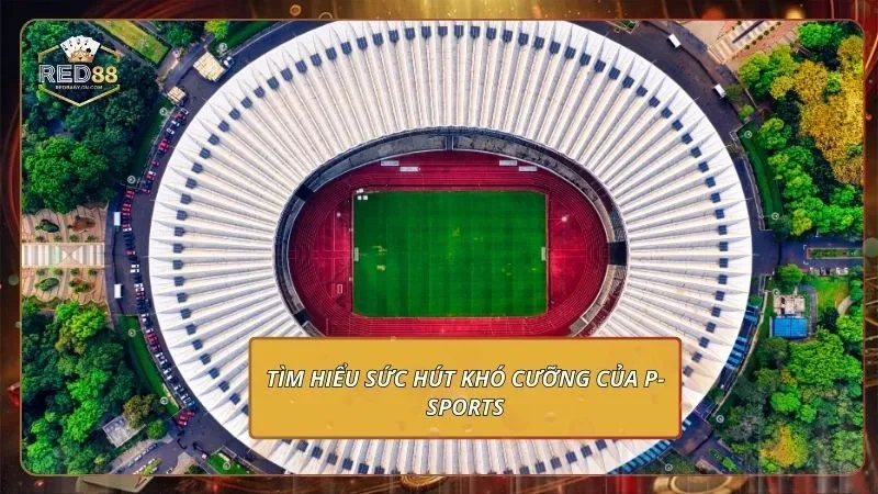Tìm hiểu sức hút khó cưỡng của P-Sports